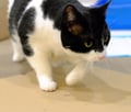 Shilo (in Foster) photo 1