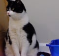 Shilo (in Foster) photo 2