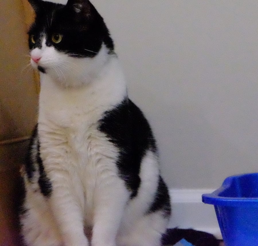 Shilo (in Foster) photo 2