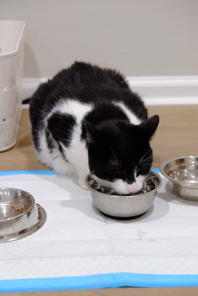 Shilo (in Foster) photo 6