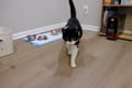 Shilo (in Foster) photo 7
