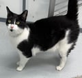 Shilo (in Foster) photo 8
