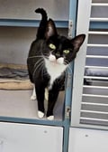 Olivia (in Foster) photo 1