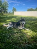 Booger (in Foster) photo 2