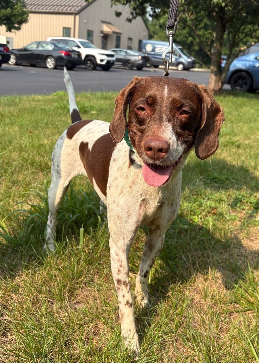 Dulce (in Foster) photo 4
