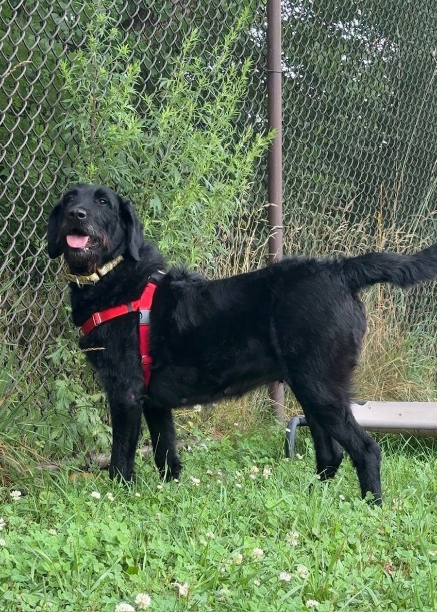 Charlie photo 4