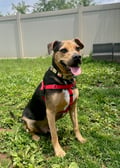 Jake photo 5