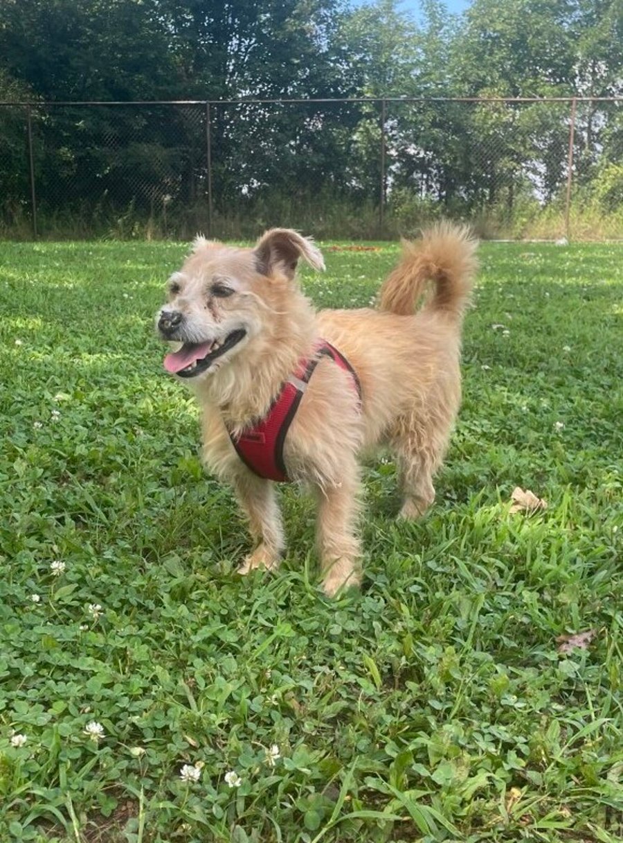 Frankie photo 1
