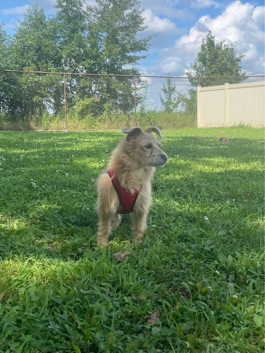 Frankie photo 2