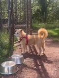 Frankie photo 4