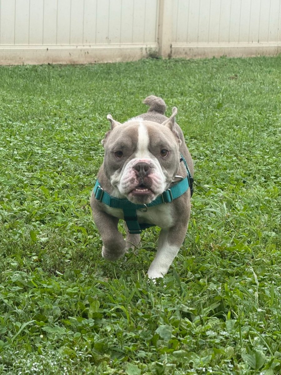 Oscar photo 6