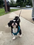Max photo 5