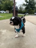 Max photo 6