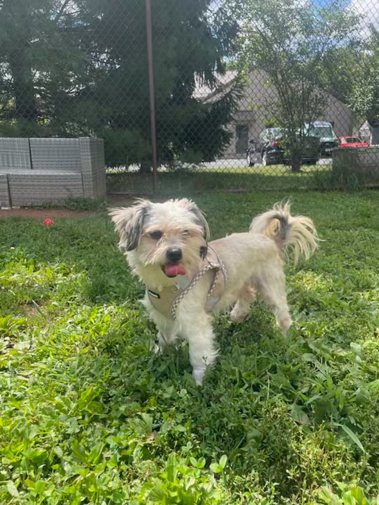 Little Dude photo 1