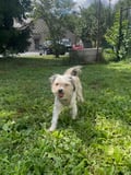 Little Dude photo 2