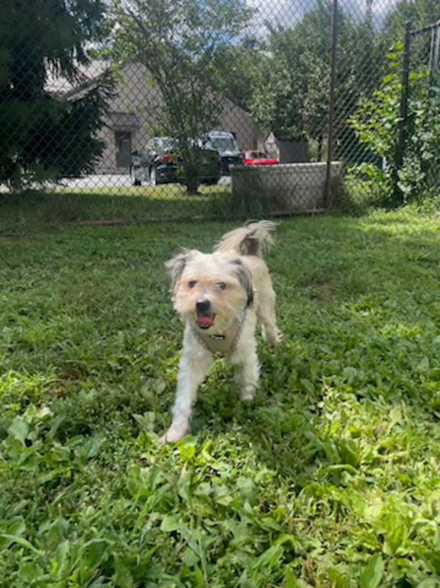 Little Dude photo 2