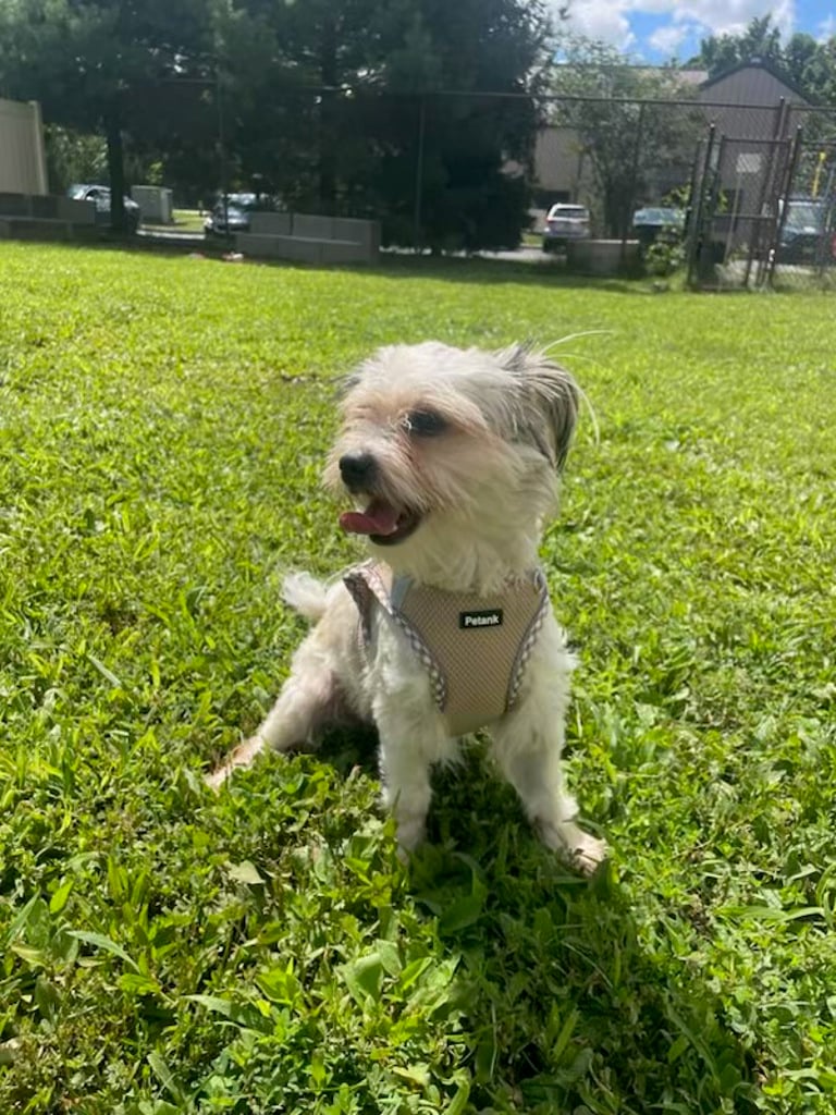 Little Dude photo 5