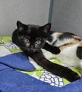 Sally Owens photo 1