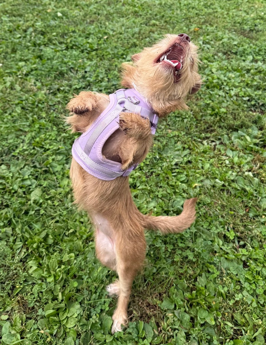 Maya photo 3
