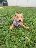 Maya photo 5