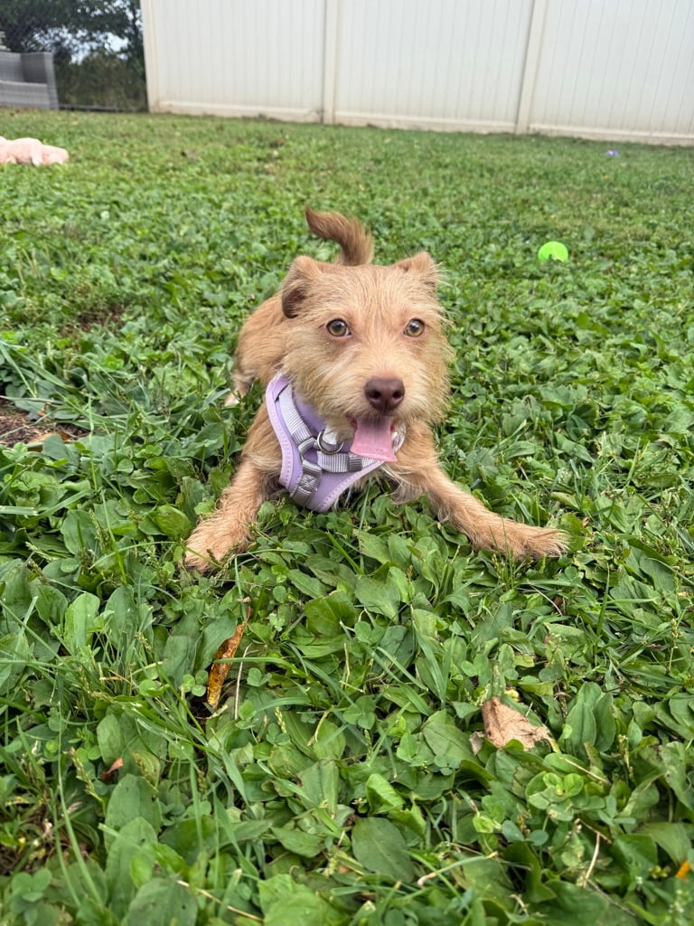 Maya photo 5