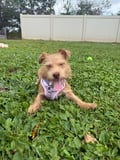 Maya photo 6