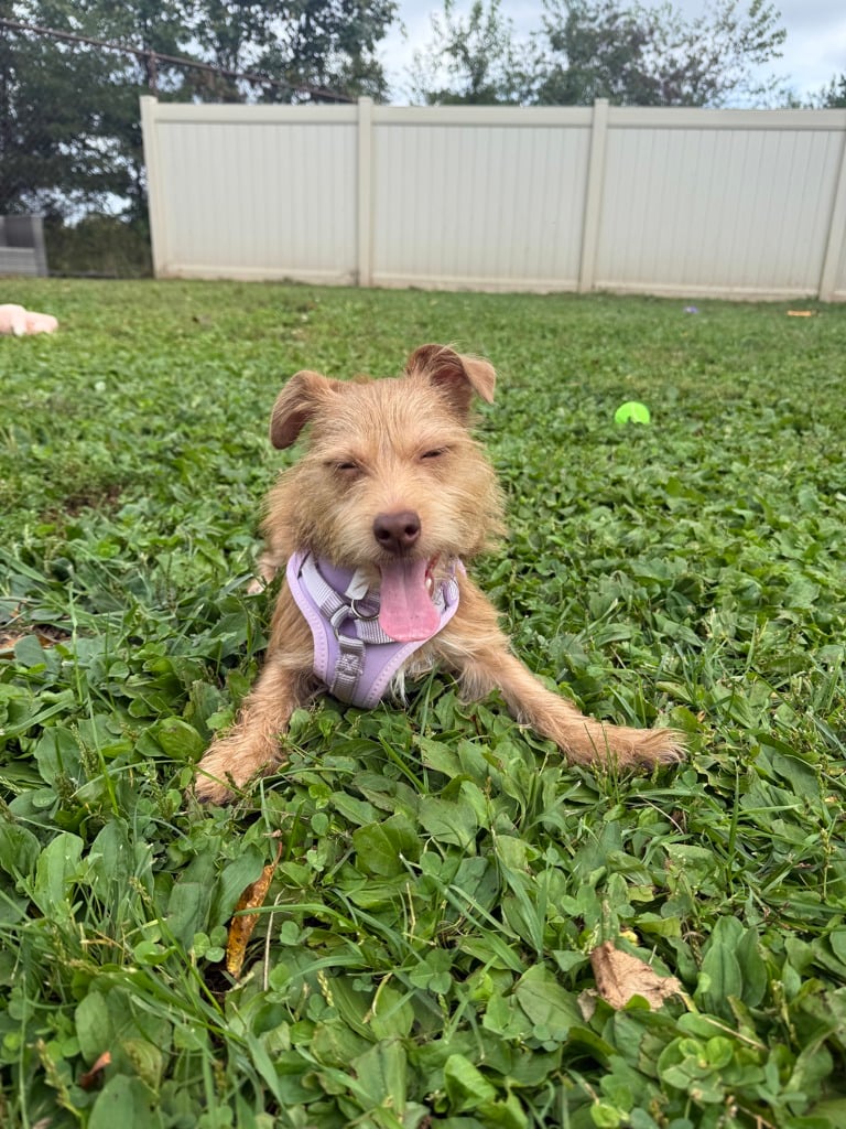 Maya photo 6