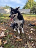 Maggie photo 2