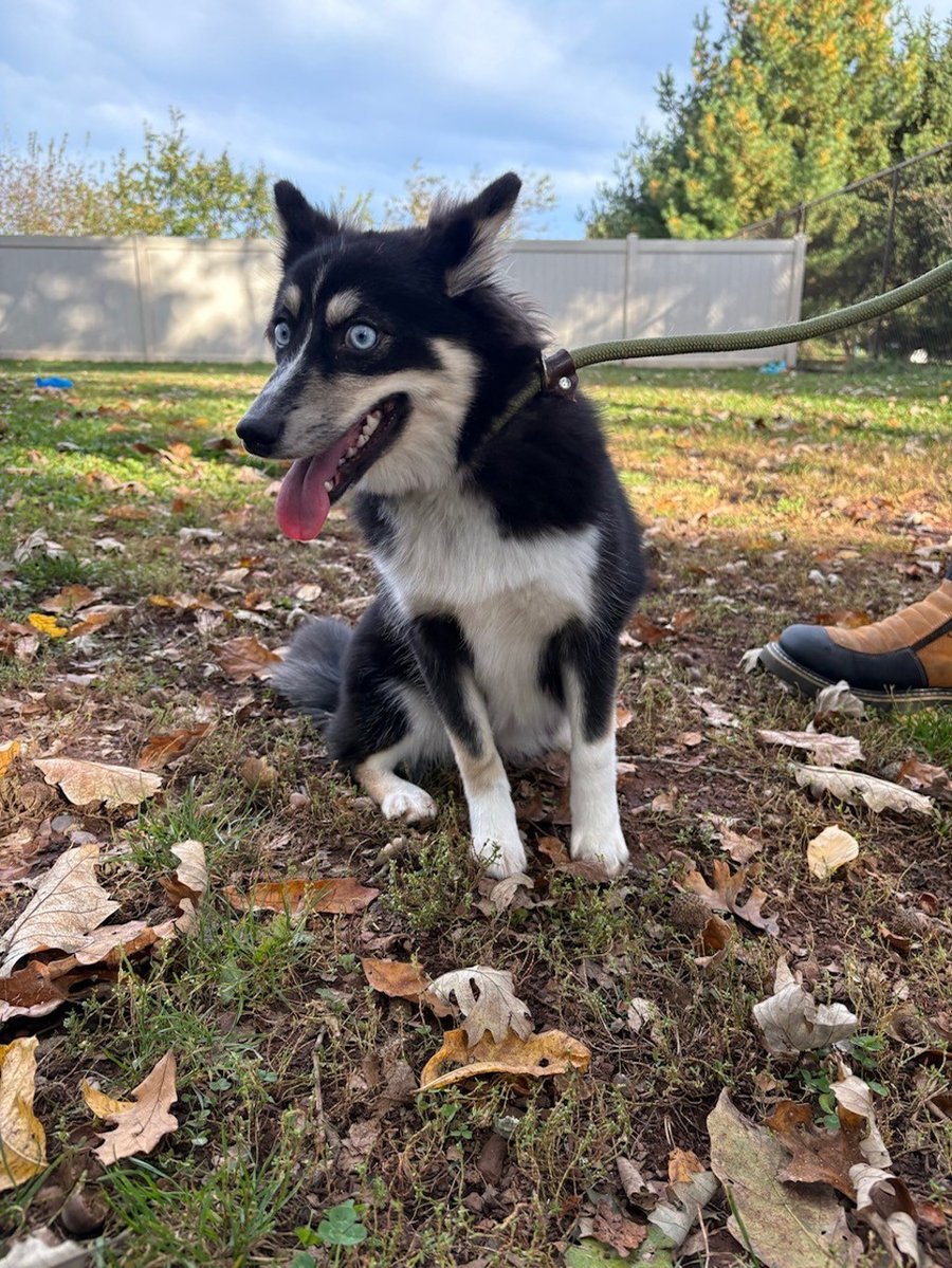Maggie photo 2