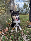 Maggie photo 3
