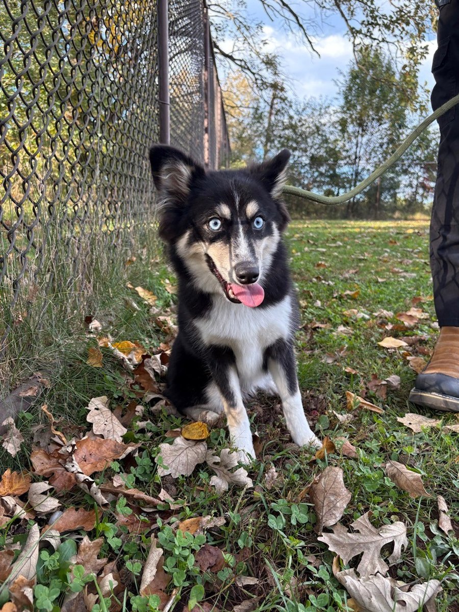 Maggie photo 3