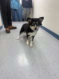 Maggie photo 4