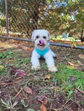 Clark photo 3