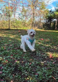 Clark photo 4