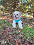 Clark photo 6
