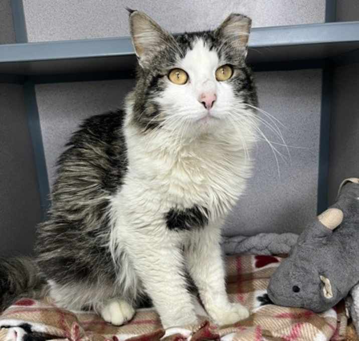Xander (in Foster) photo 3