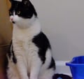 Shilo (in Foster) photo 2