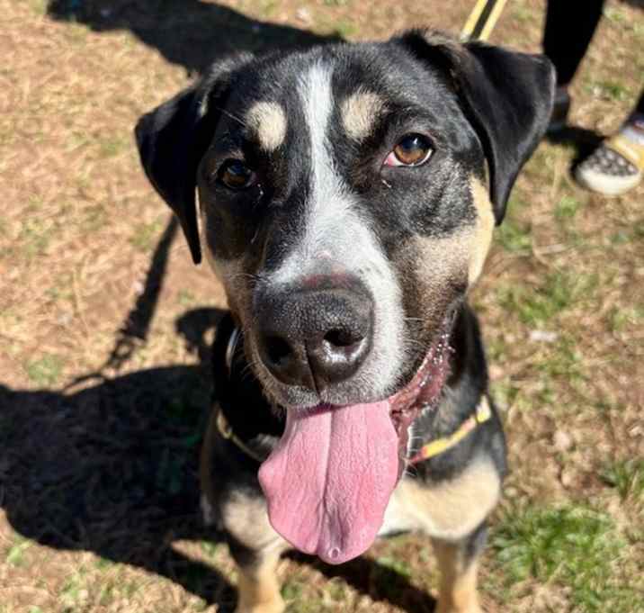King (in Foster) photo 1