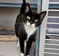 Olivia (in Foster) photo 1