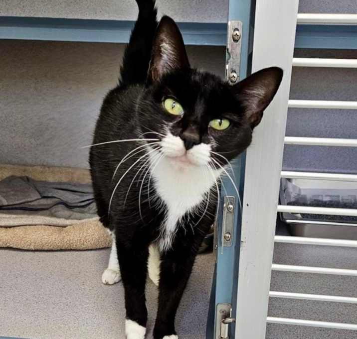 Olivia (in Foster) photo 1