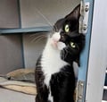 Olivia (in Foster) photo 3