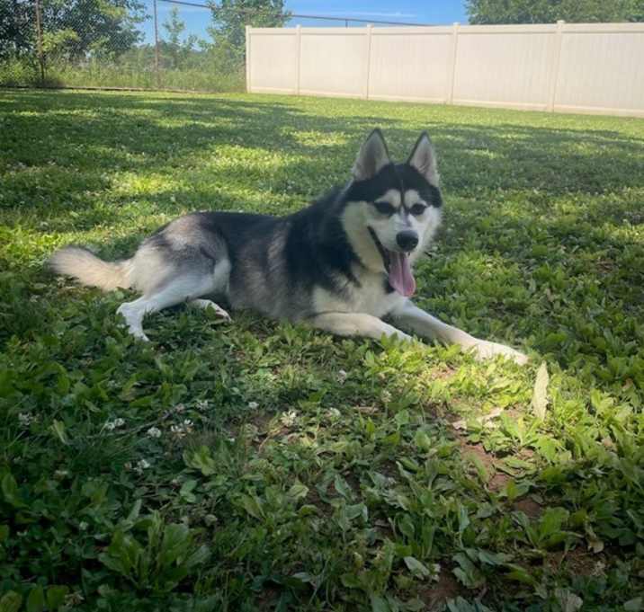 Booger (in Foster) photo 2