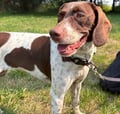 Dulce (in Foster) photo 1