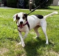 Sinclair (in Foster) photo 3