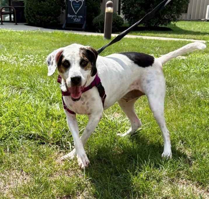 Sinclair (in Foster) photo 3