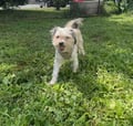 Little Dude photo 2