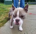 Oscar photo 2