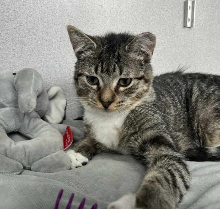 Alfie photo 2