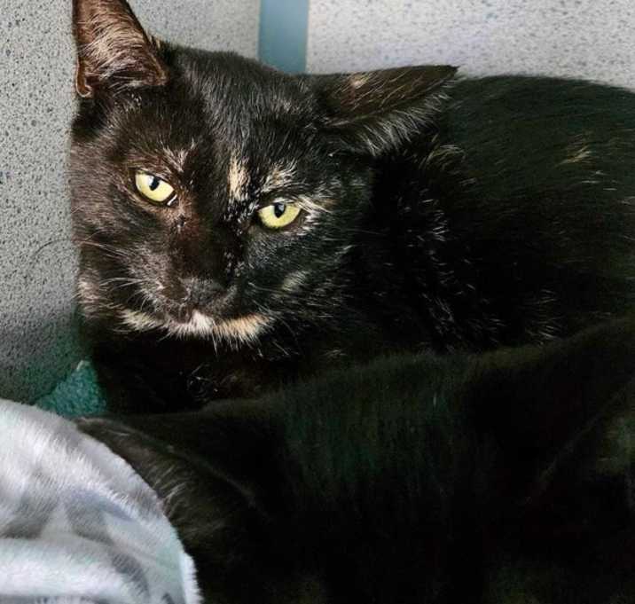 Fiona photo 2