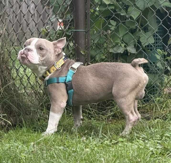 Oscar photo 2
